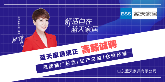 山东蓝天家具