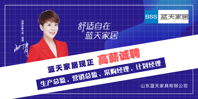 山东蓝天家具