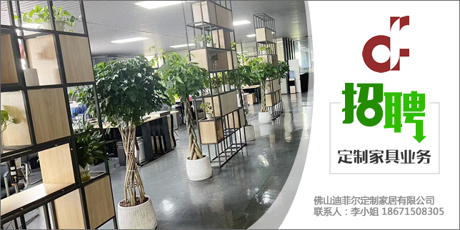 佛山迪菲尔定制家居