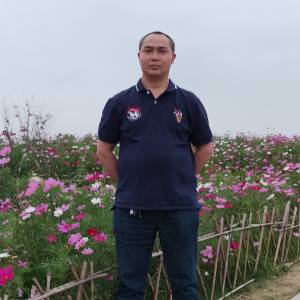 杨先生