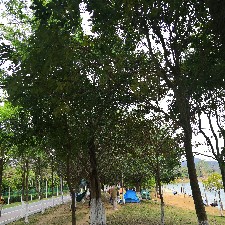 徐先生
