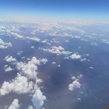 席先生
