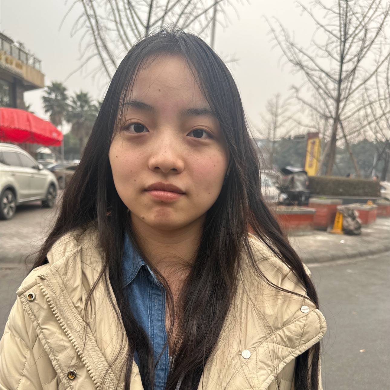 秦小姐